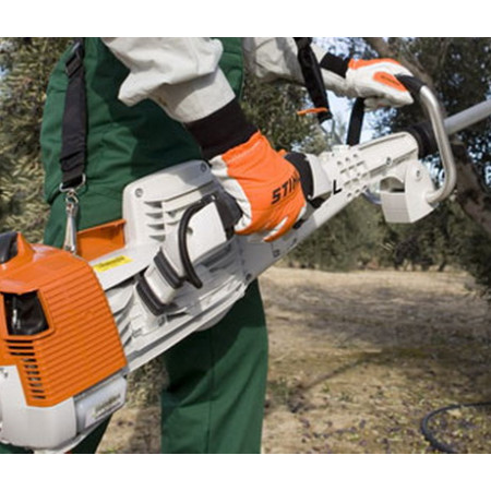 ΕΛΑΙΟΡΑΒΔΙΣΤΙΚΑ