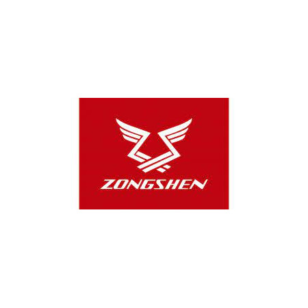 ZONGSHEN