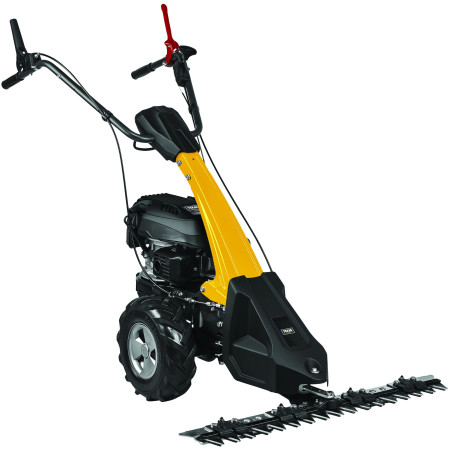 TEXAS CB8750 Lawn mower with cutting rod